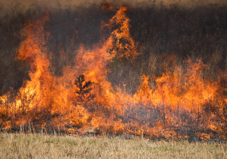 BBQS-and-wildfire-blog---web